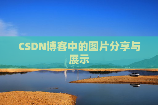 CSDN博客中的图片分享与展示